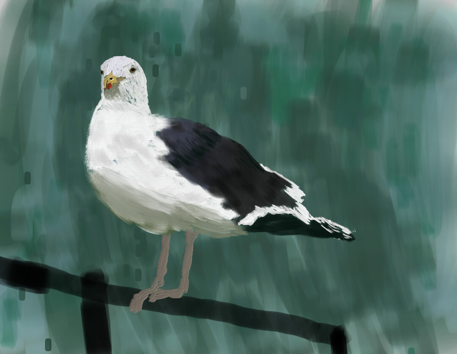 Great black backed gull